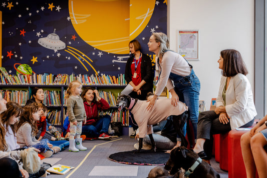 Lily Longnose Events