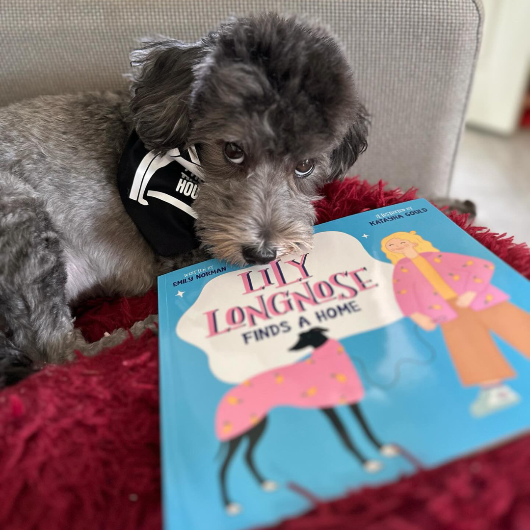 Lily Longnose Finds a Home - softcover
