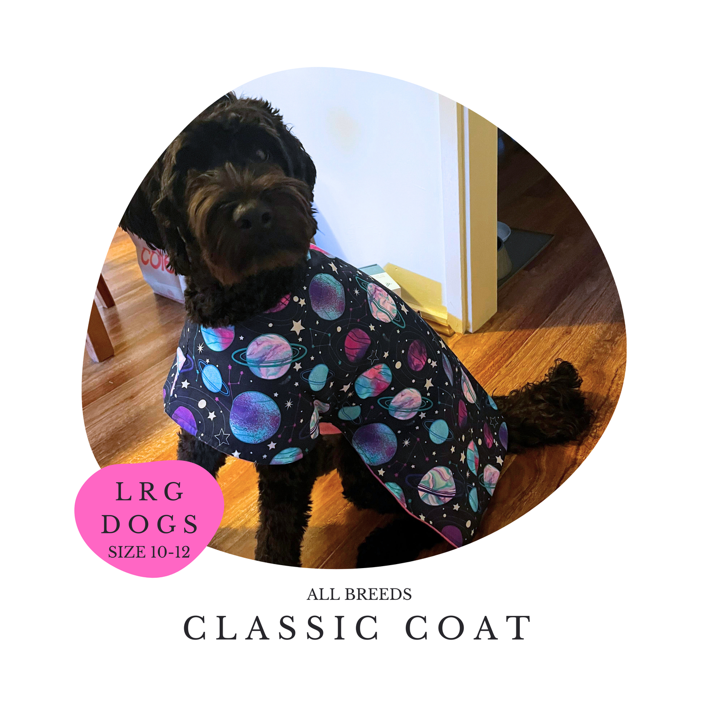 LARGE Dogs Classic Coat (10-12)