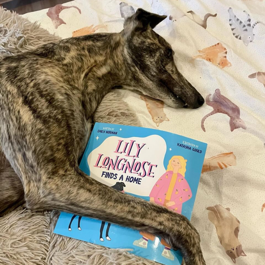 Lily Longnose Finds a Home - softcover