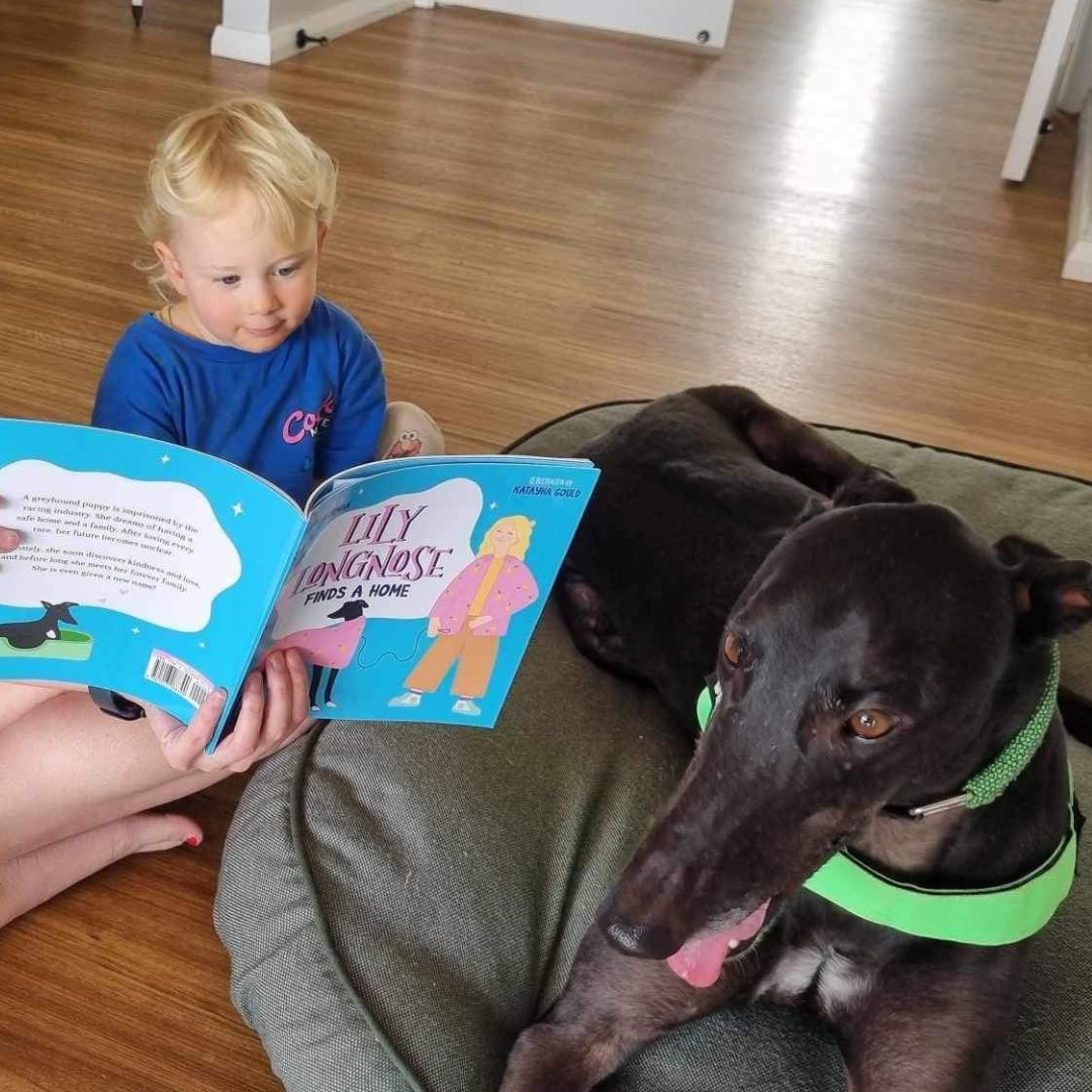 Lily Longnose Finds a Home - softcover