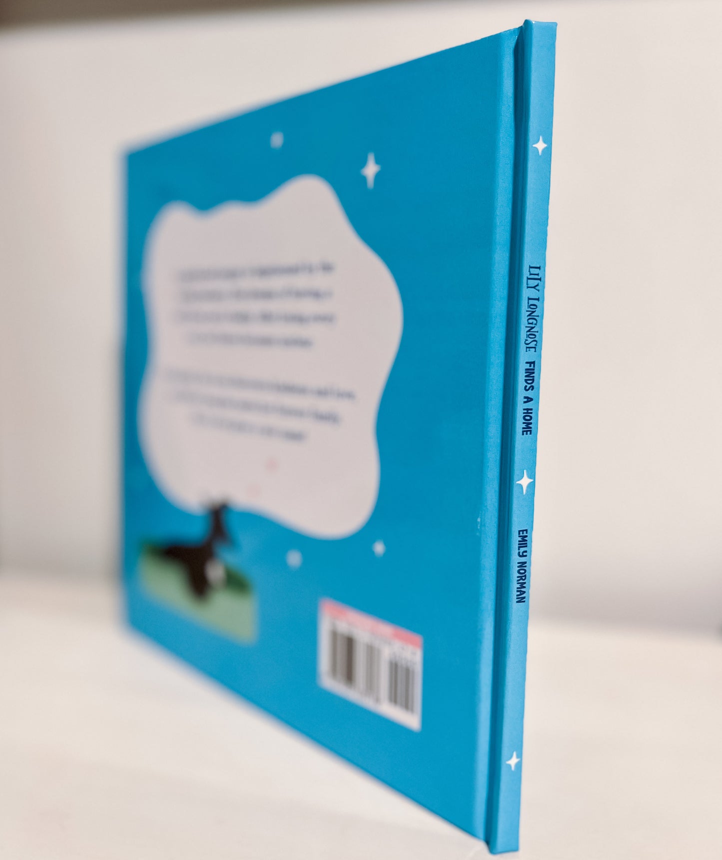 Lily Longnose Finds a Home - HARDCOVER