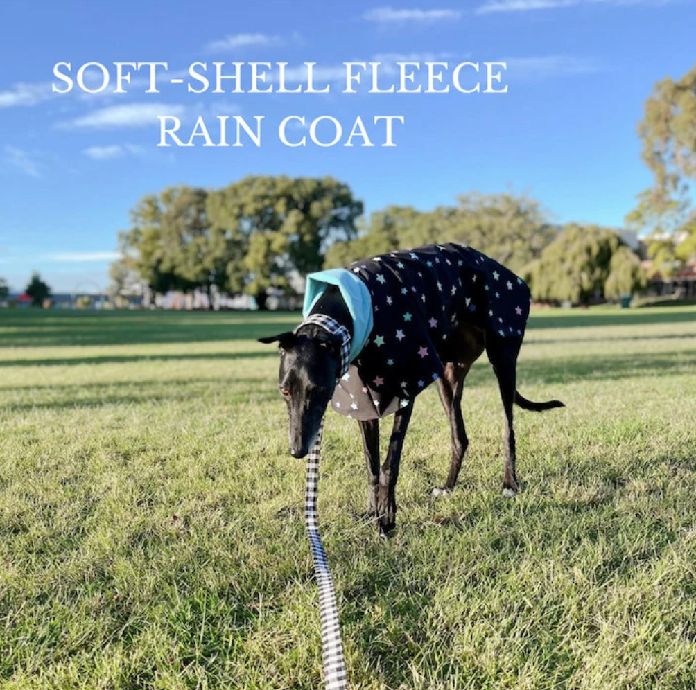 Large Dogs Classic Coat and Rain Coat in sizes 10-12