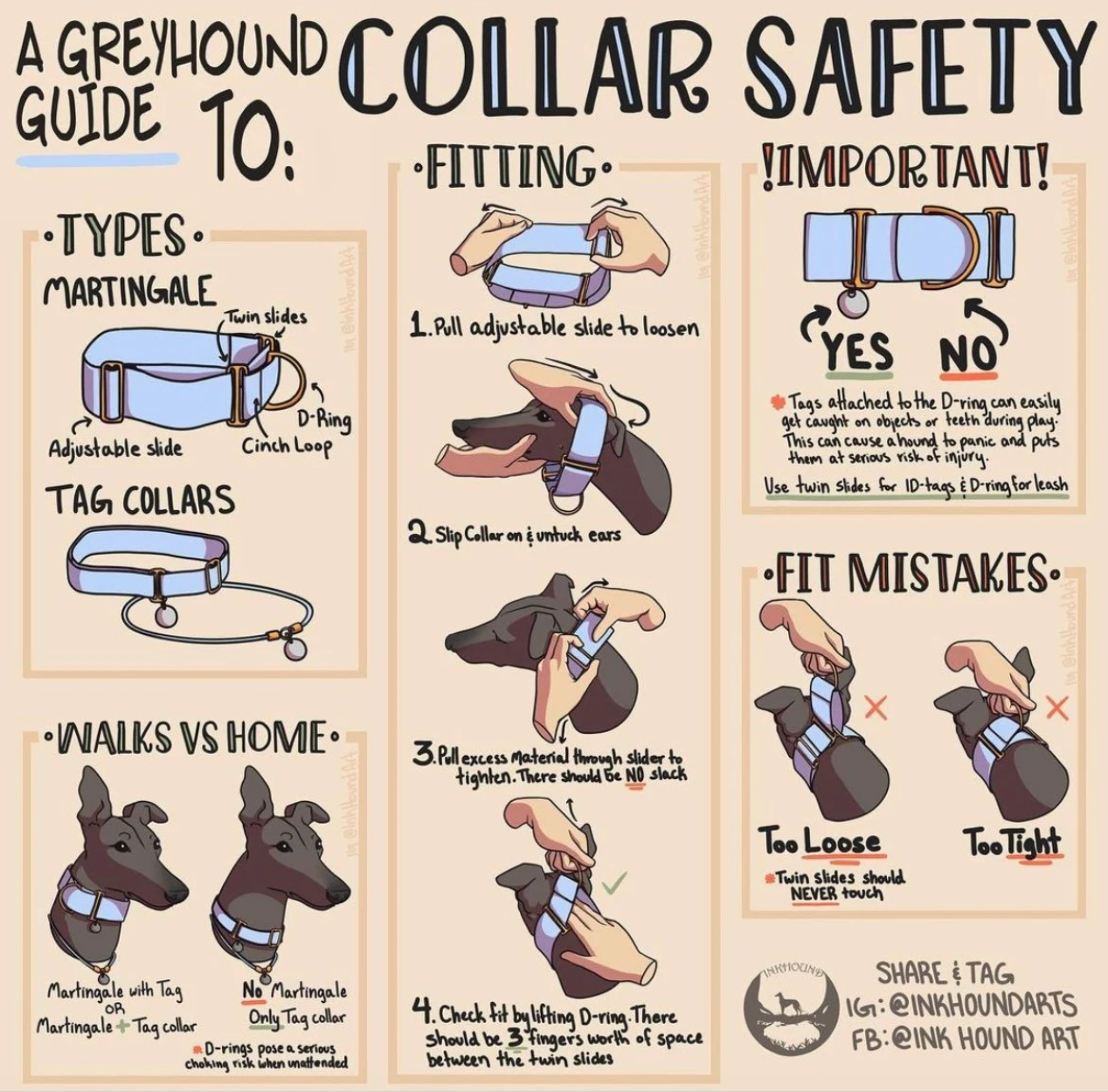 Martingale Collar & Lead