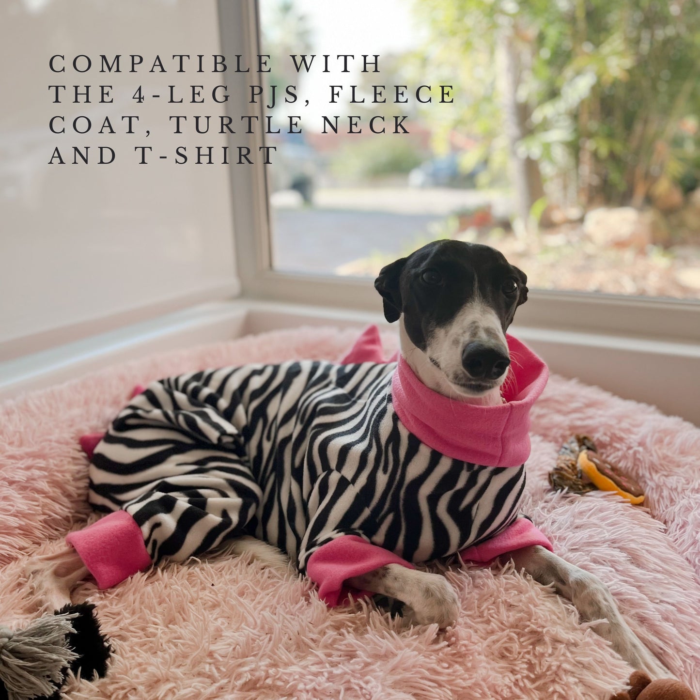 Dino Spine Hack for Greyhounds & Whippets