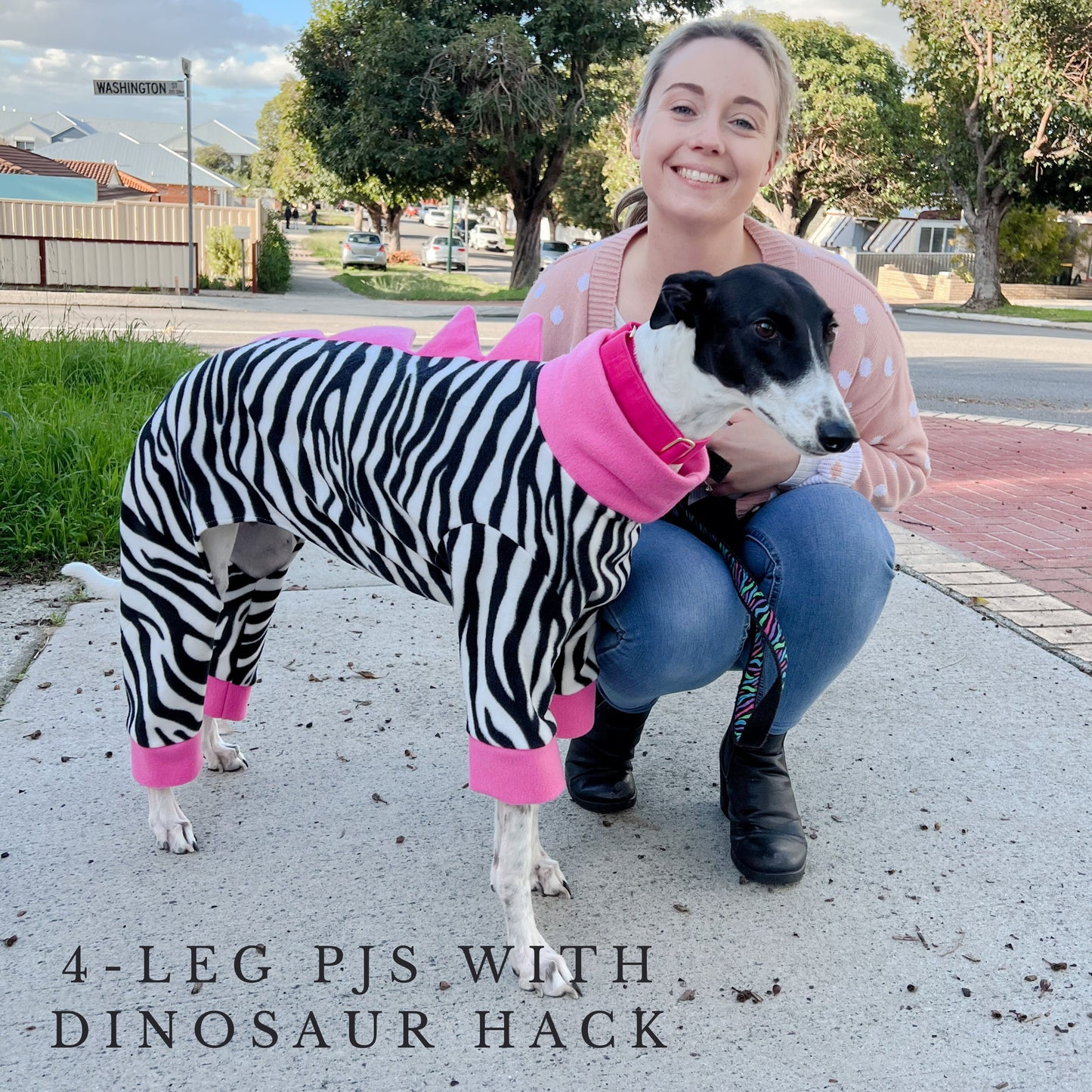 Dino Spine Hack for Greyhounds & Whippets