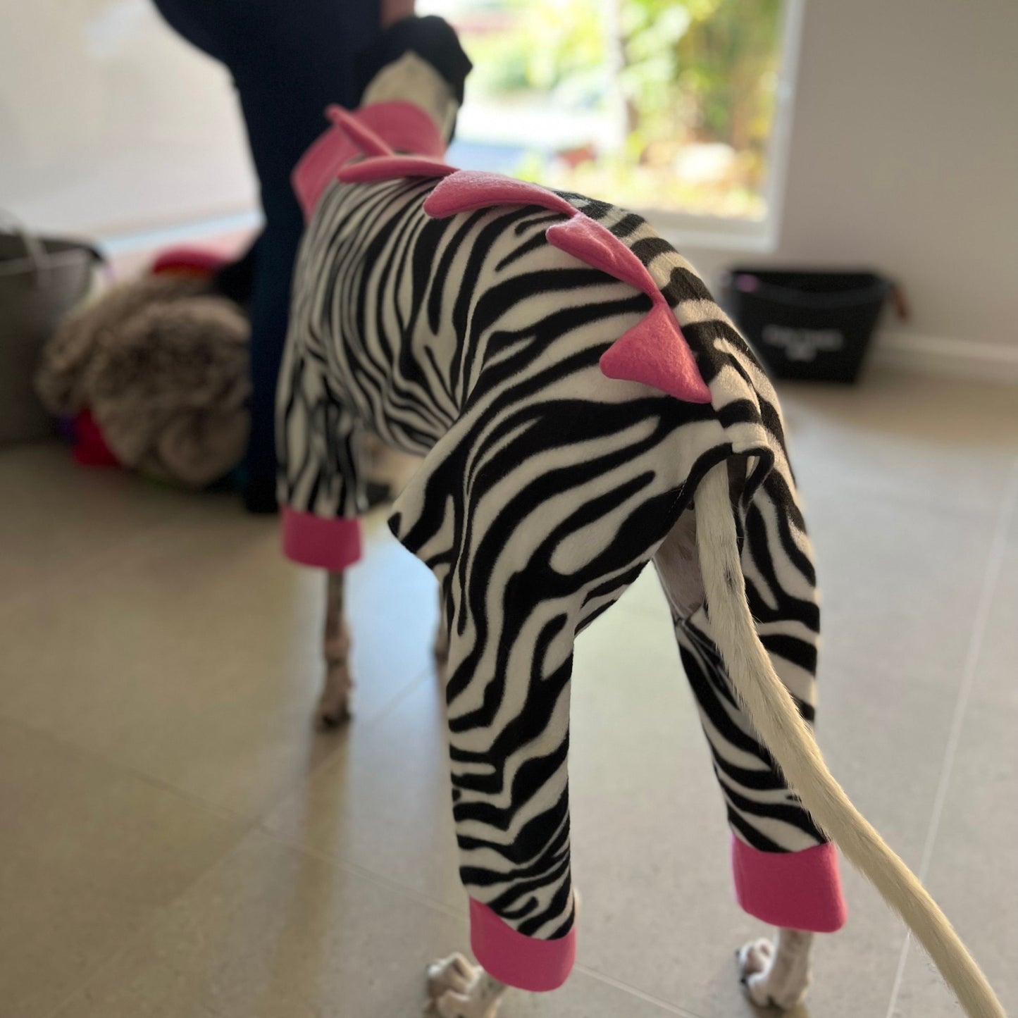 Dino Spine Hack for Greyhounds & Whippets
