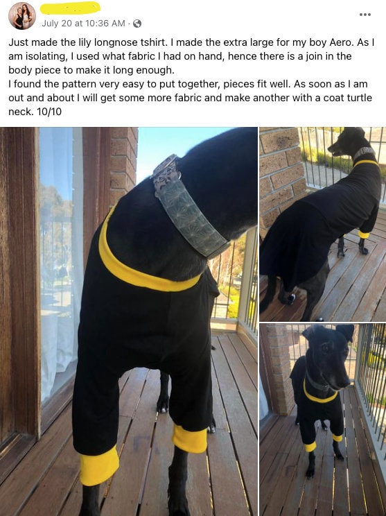 Italian Greyhound Turtle Neck/T-shirt in sizes L/XL/XXL