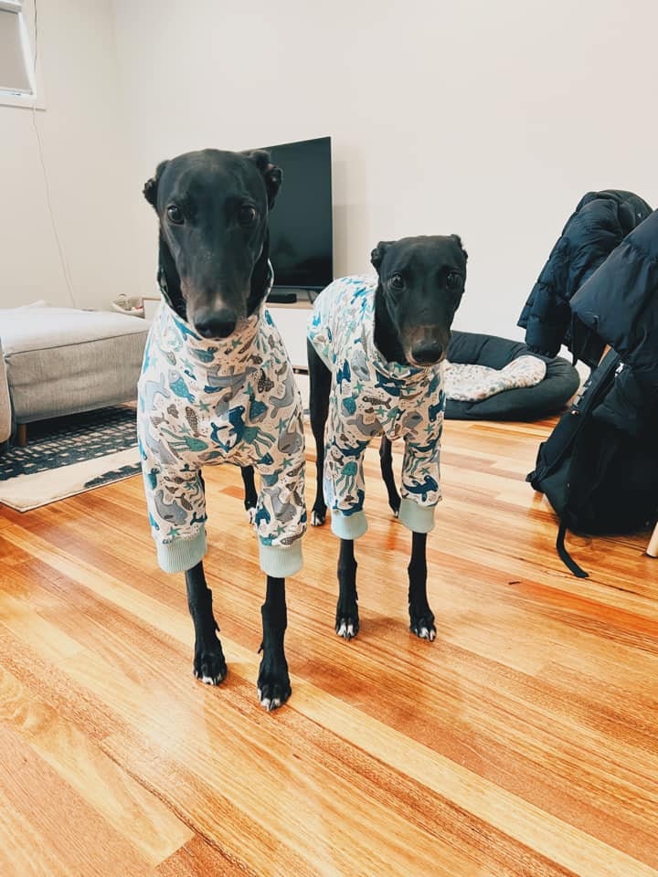 Greyhound Turtle Neck/T-Shirt in XXXL/XXL/XL Sizes