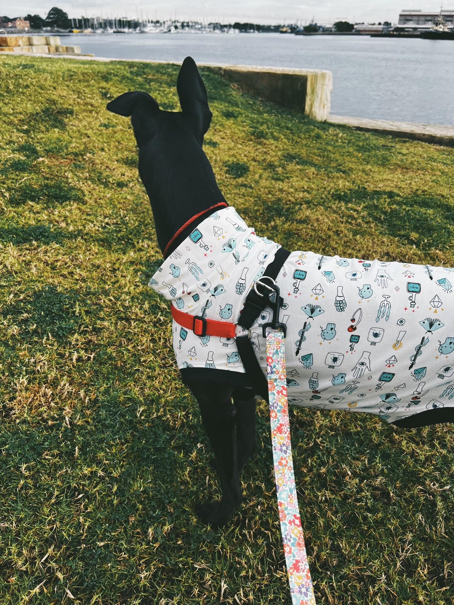 Whippet Turtle Neck/T-Shirt in S/M/L