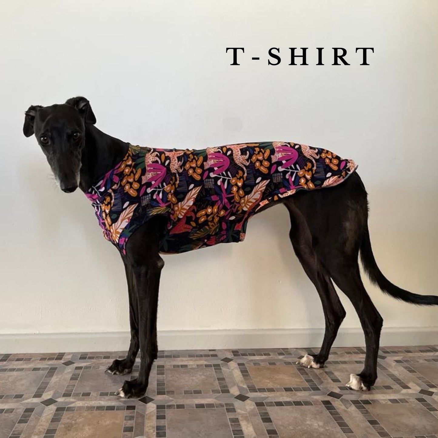 Italian Greyhound Turtle Neck/T-Shirt in sizes XXS/XS/S