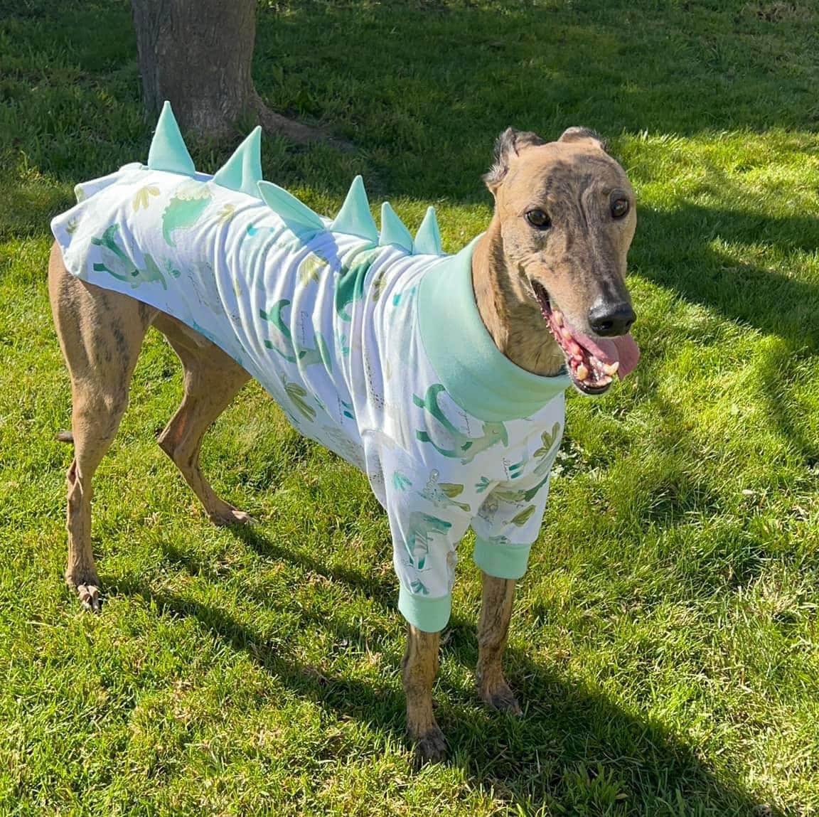 Dino Spine Hack for Greyhounds & Whippets