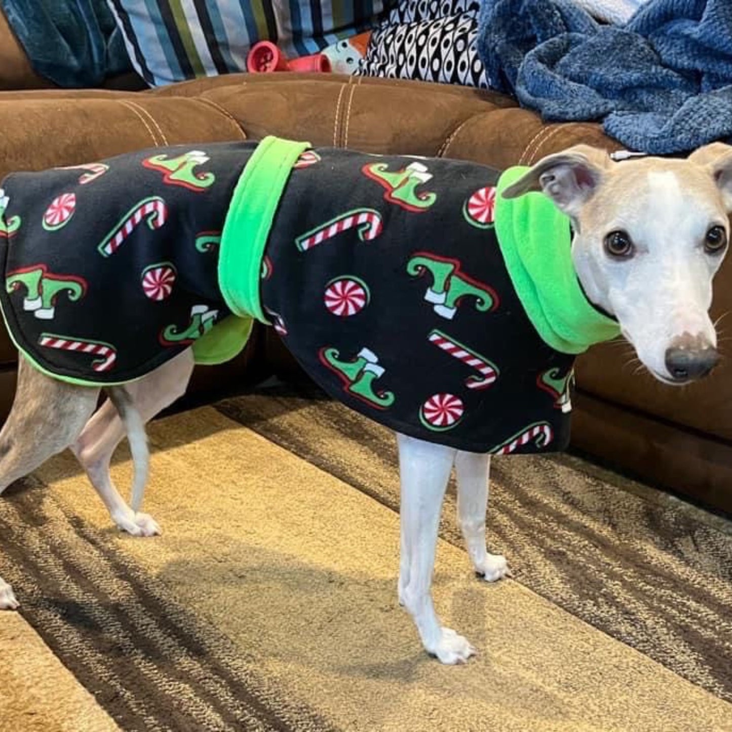 Italian Greyhound Fleece Coat and Rain Coat in sizes XXL/XL/L