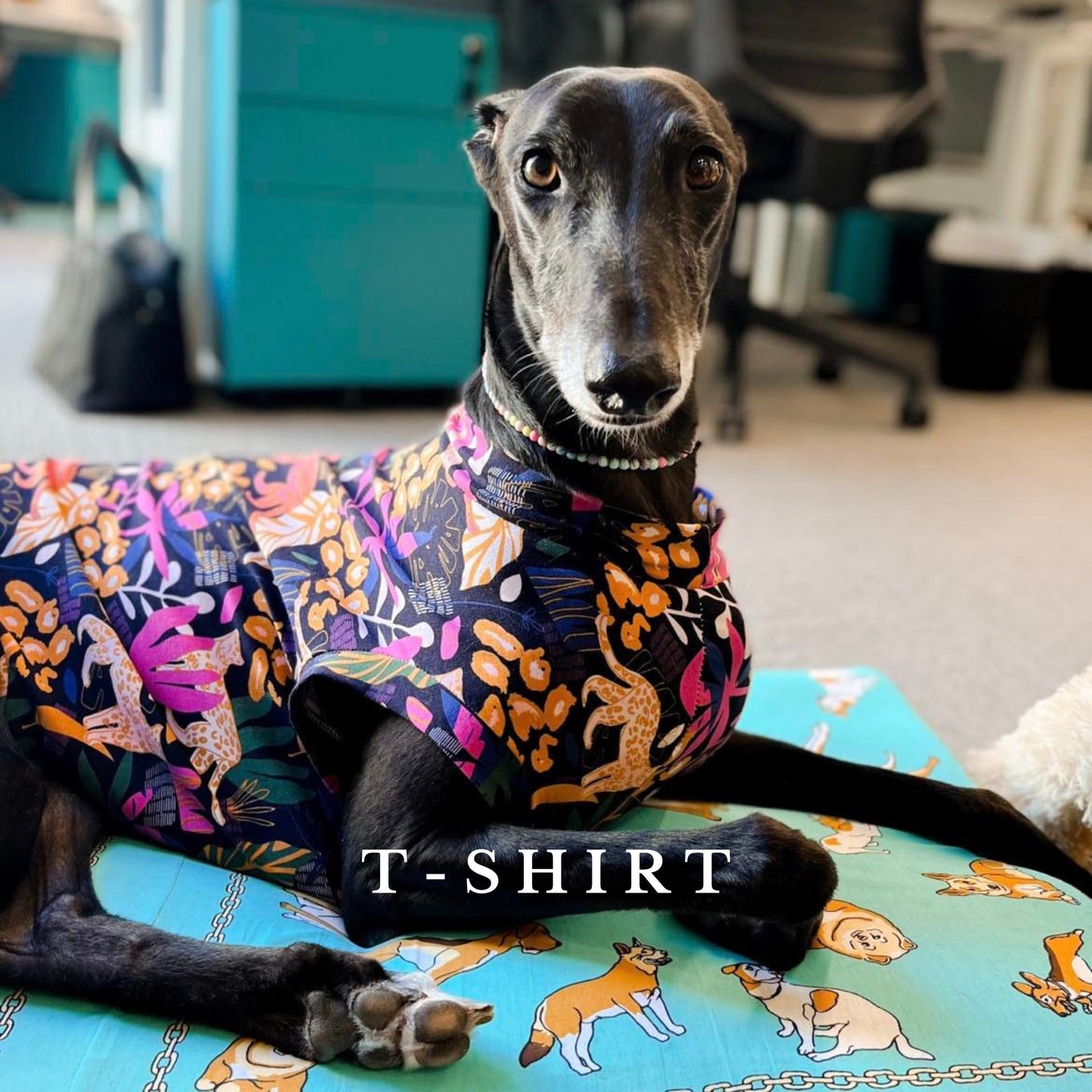 Greyhound Turtle Neck/T-Shirt in XXS/XS/S Sizes