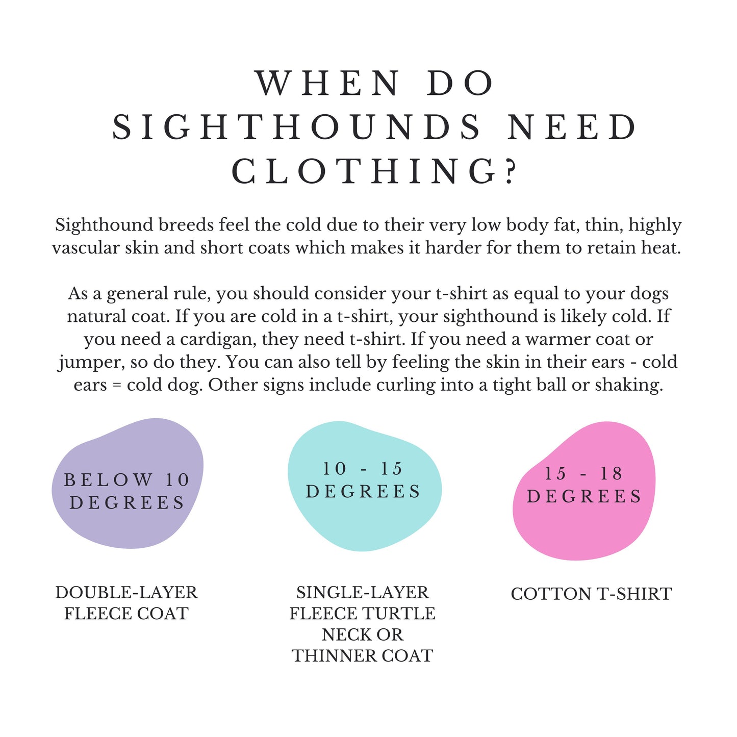 XL/L/M Whippet Hoodie / Jumper in XL/L/M