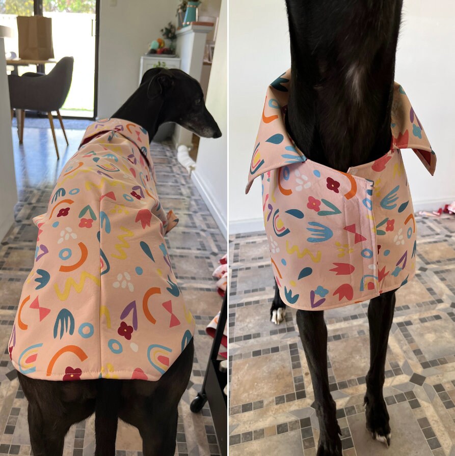 Italian Greyhound Velcro Coat in sizes L/XL/XXL