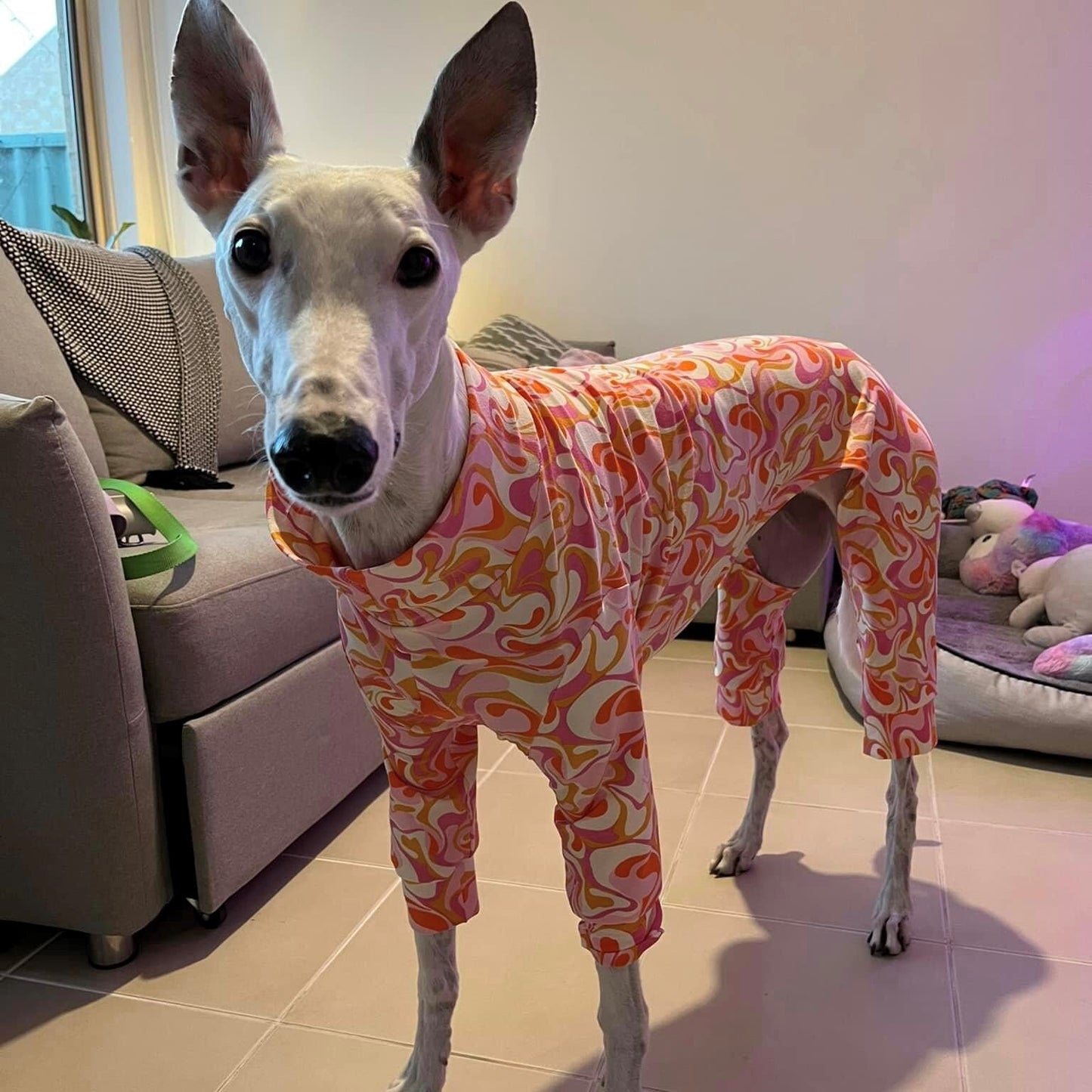 Greyhound 4-Leg Pyjamas in sizes XXS/XS/S