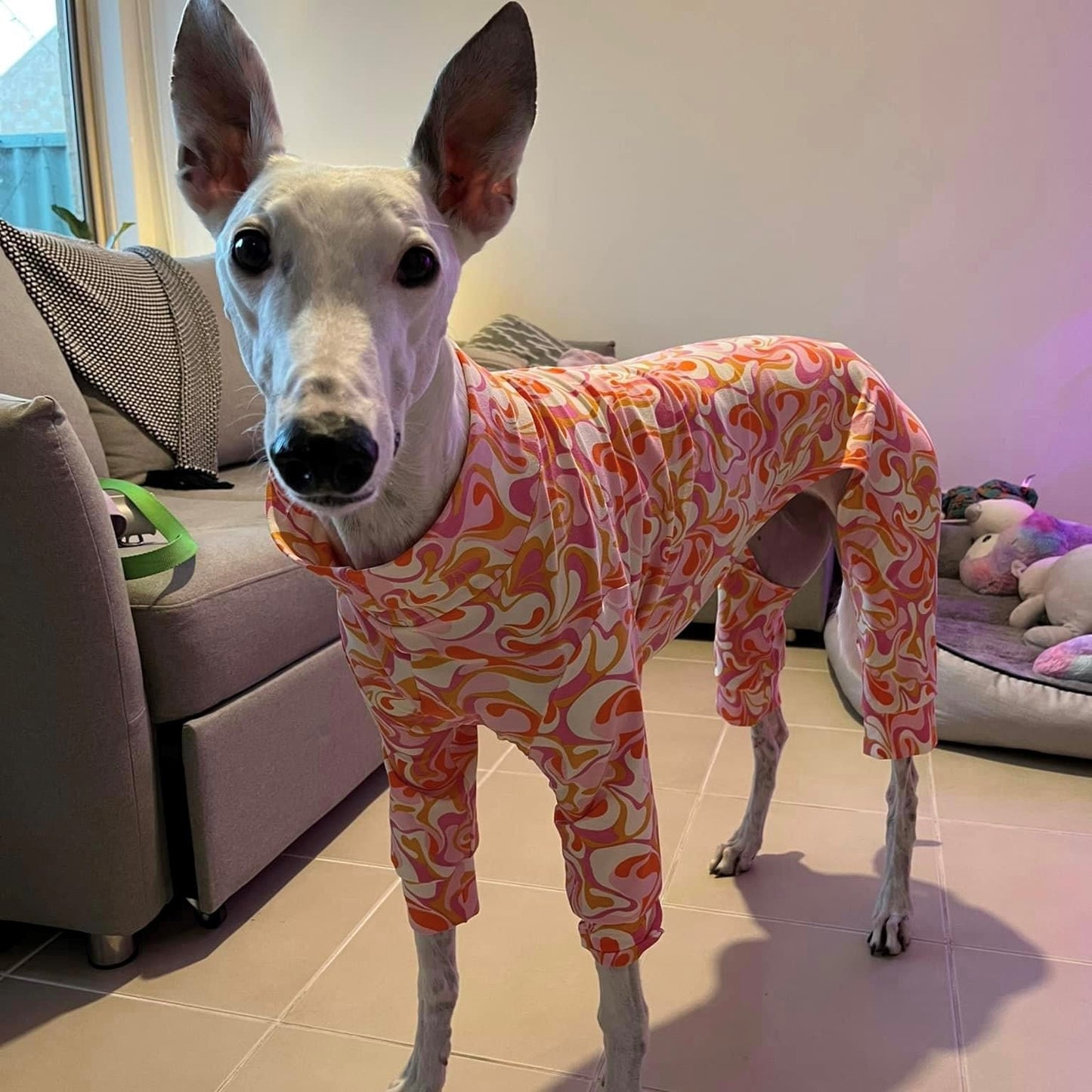 Greyhound 4-Leg Pyjamas in sizes XXXL/XXL/XL