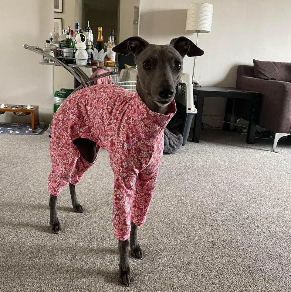 S/M/L Italian Greyhound 4-Leg Pyjamas in sizes S/M/L