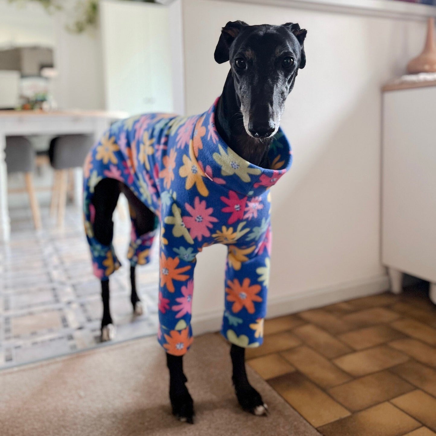 Greyhound 4-Leg Pyjamas in size S/M/L