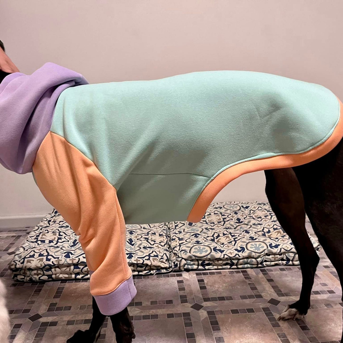 Greyhound Hoodie / Jumper in S/M/L