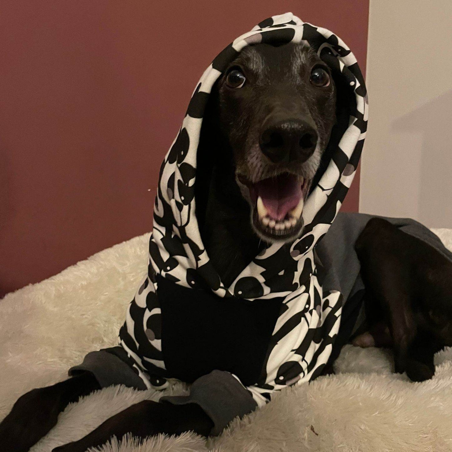 XXL/XL/L Greyhound Hoodie / Jumper in XXL/XL/L