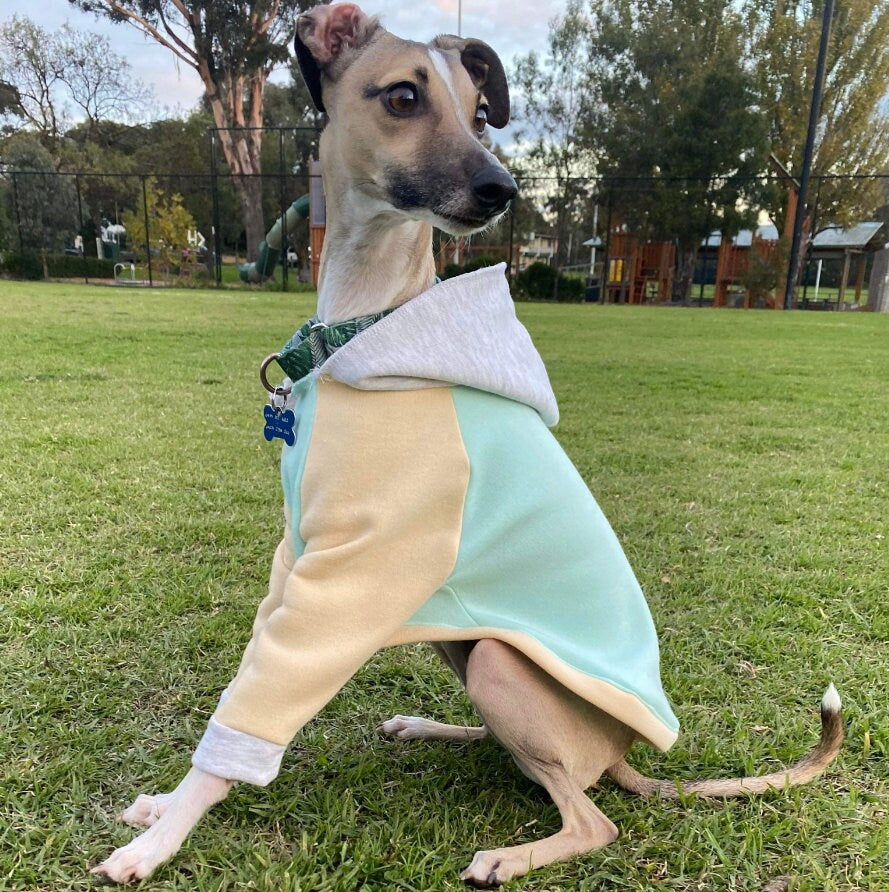 Italian Greyhound Hoodie / Jumper in XXL/XL/L