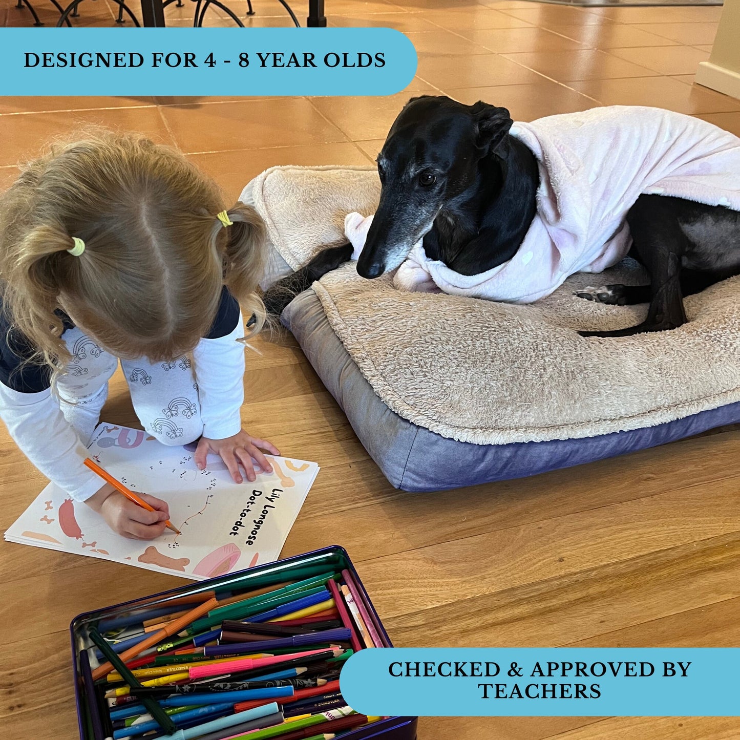 Kids Activity Sheets / Educational Book Companion