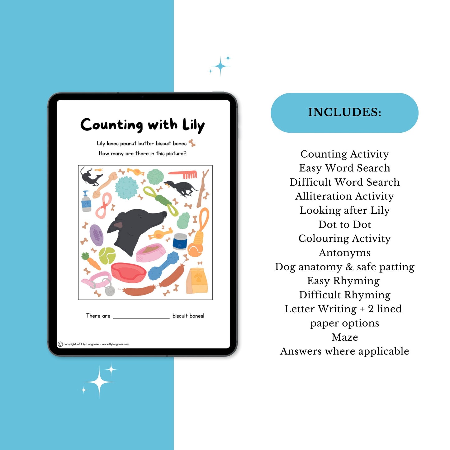 Kids Activity Sheets / Educational Book Companion
