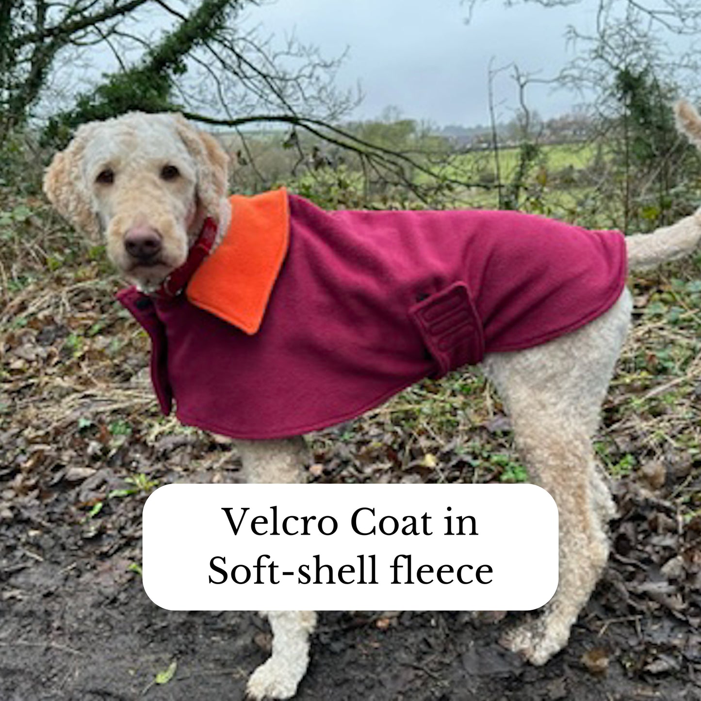 Small & Medium Dogs Velcro Coat in sizes 4-6