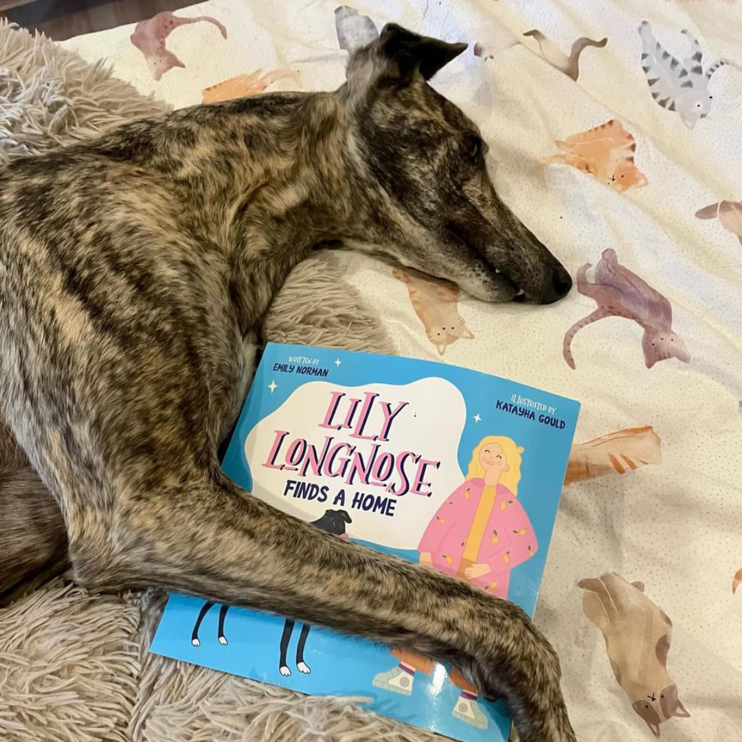 Lily Longnose Finds a Home