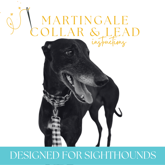 Martingale Collar & Lead