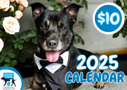 Dogs' Refuge Home Calendar