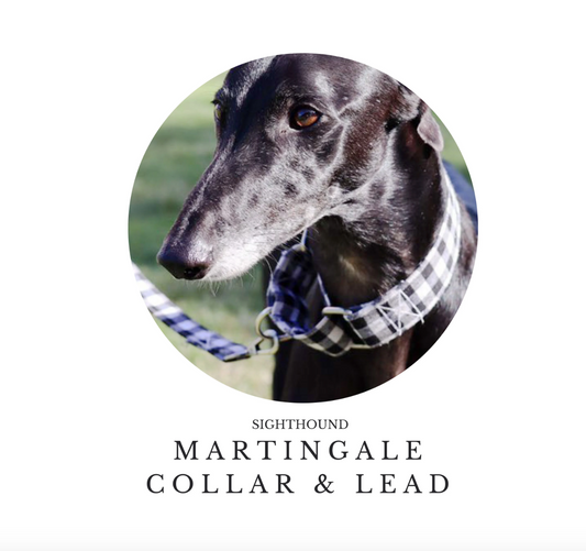 Martingale Collar & Lead