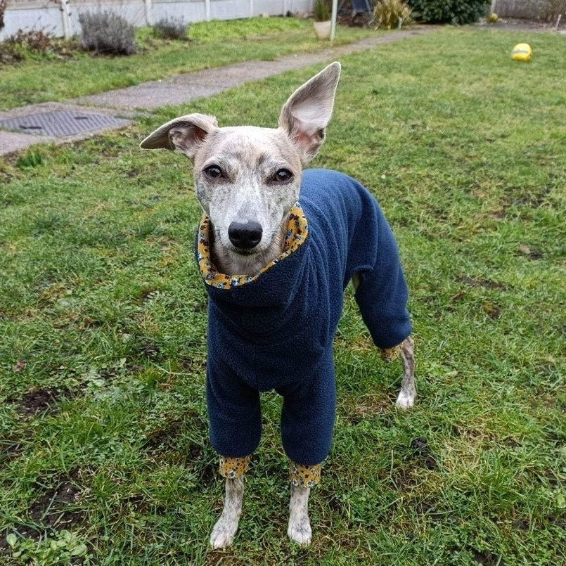 S/M/L Italian Greyhound 4-Leg Pyjamas