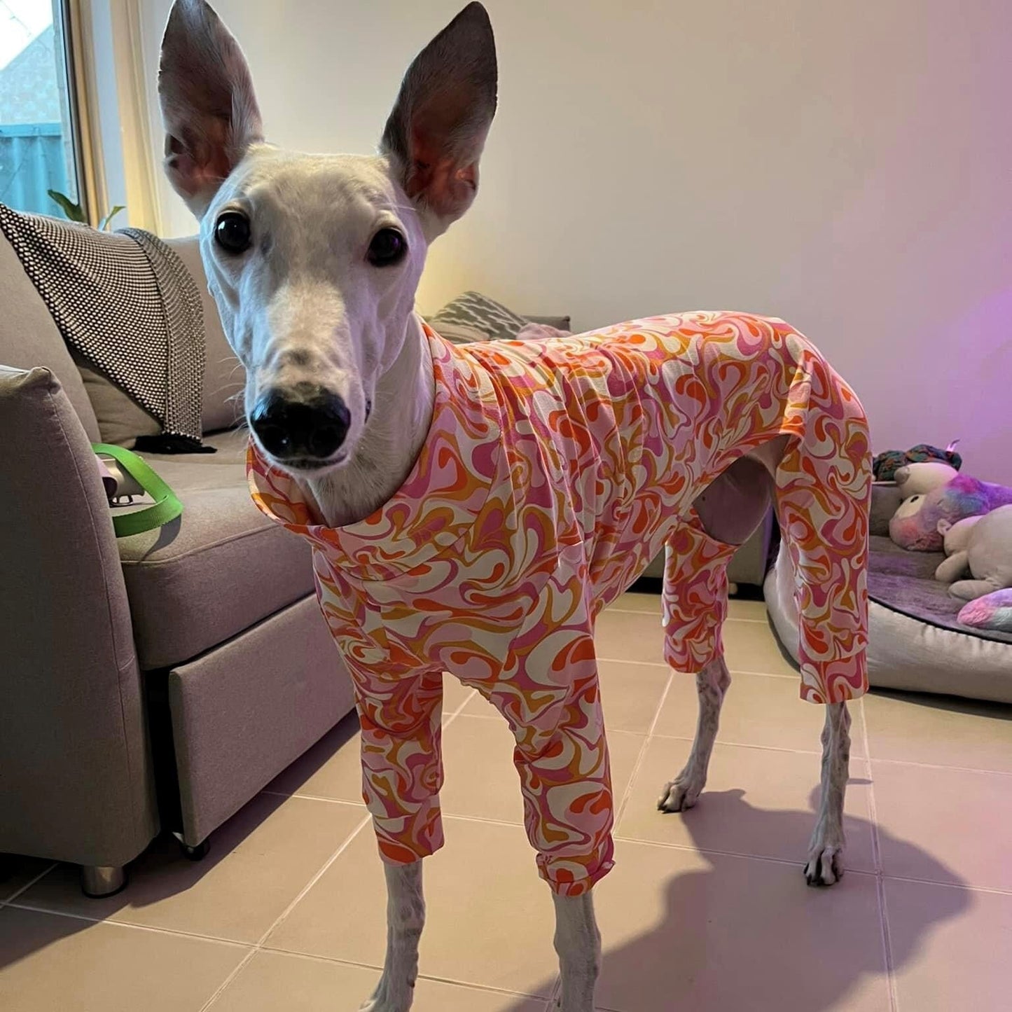 XXS/XS/S Greyhound 4-Leg Pyjamas