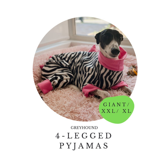 Giant / XXL / XL Greyhound 4-Leg Pyjamas