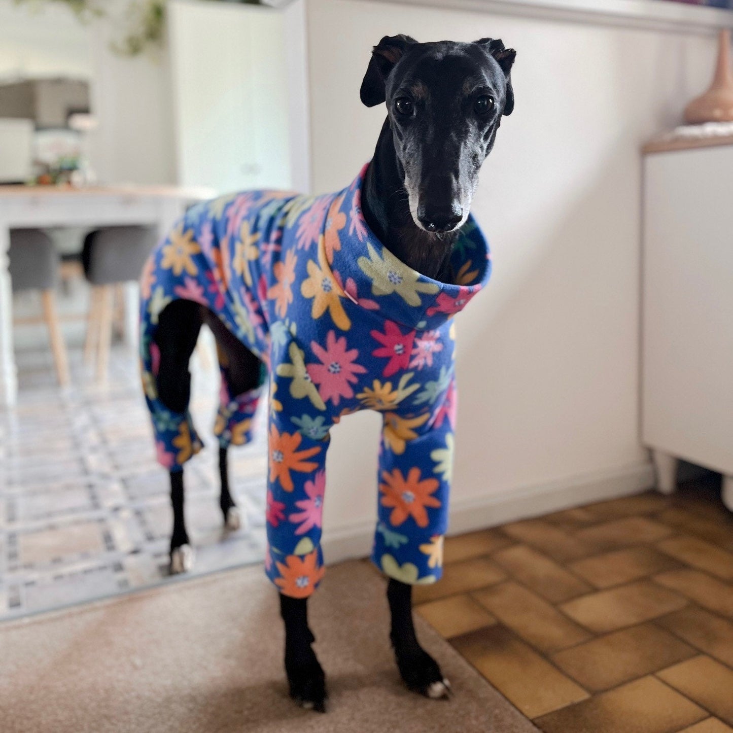 XXS/XS/S Italian Greyhound 4-Leg Pyjamas