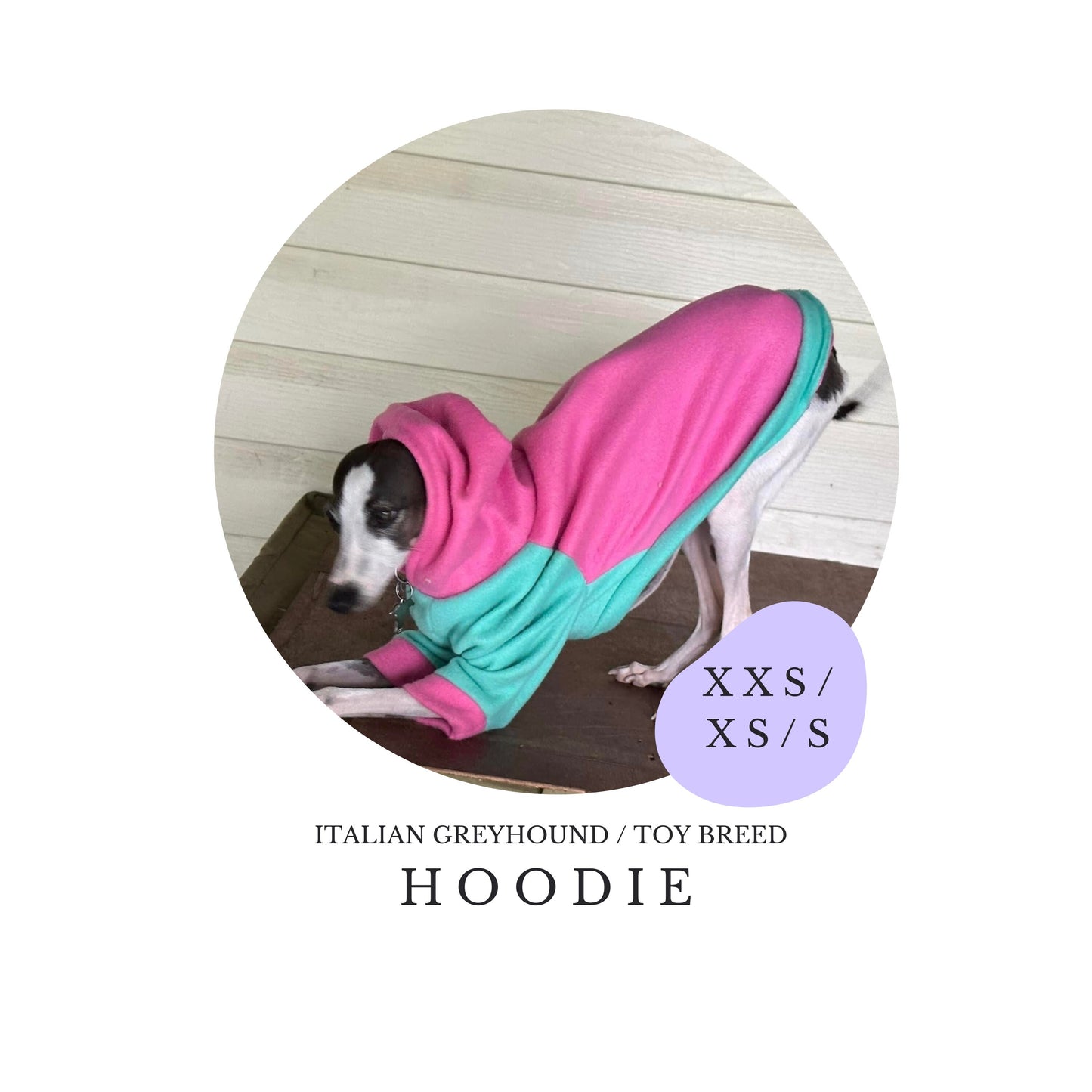 XXS/XS/S Italian Greyhound Hoodie / Jumper