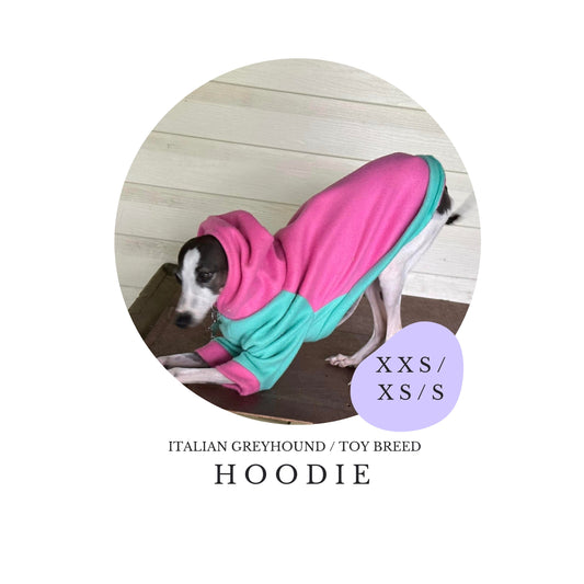 XXS/XS/S Italian Greyhound Hoodie / Jumper
