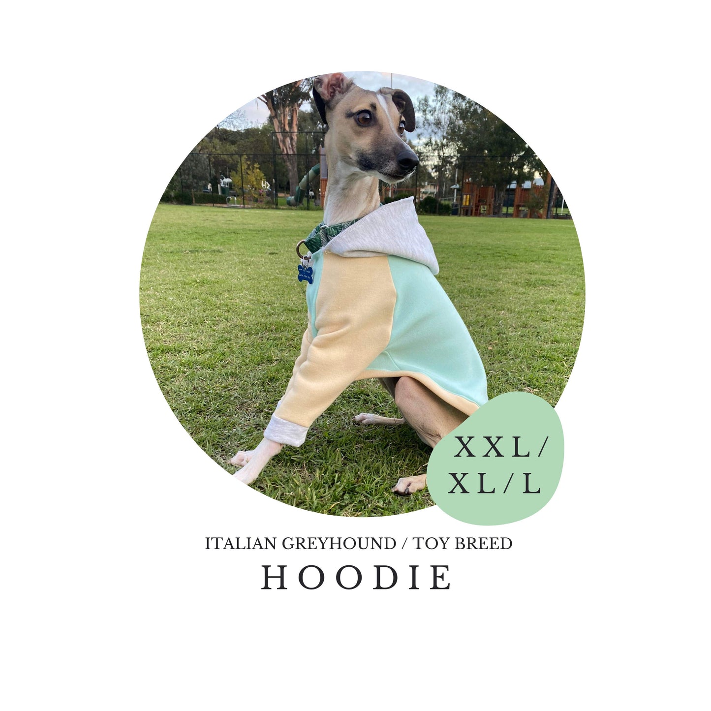 XXL/XL/L Italian Greyhound Hoodie / Jumper