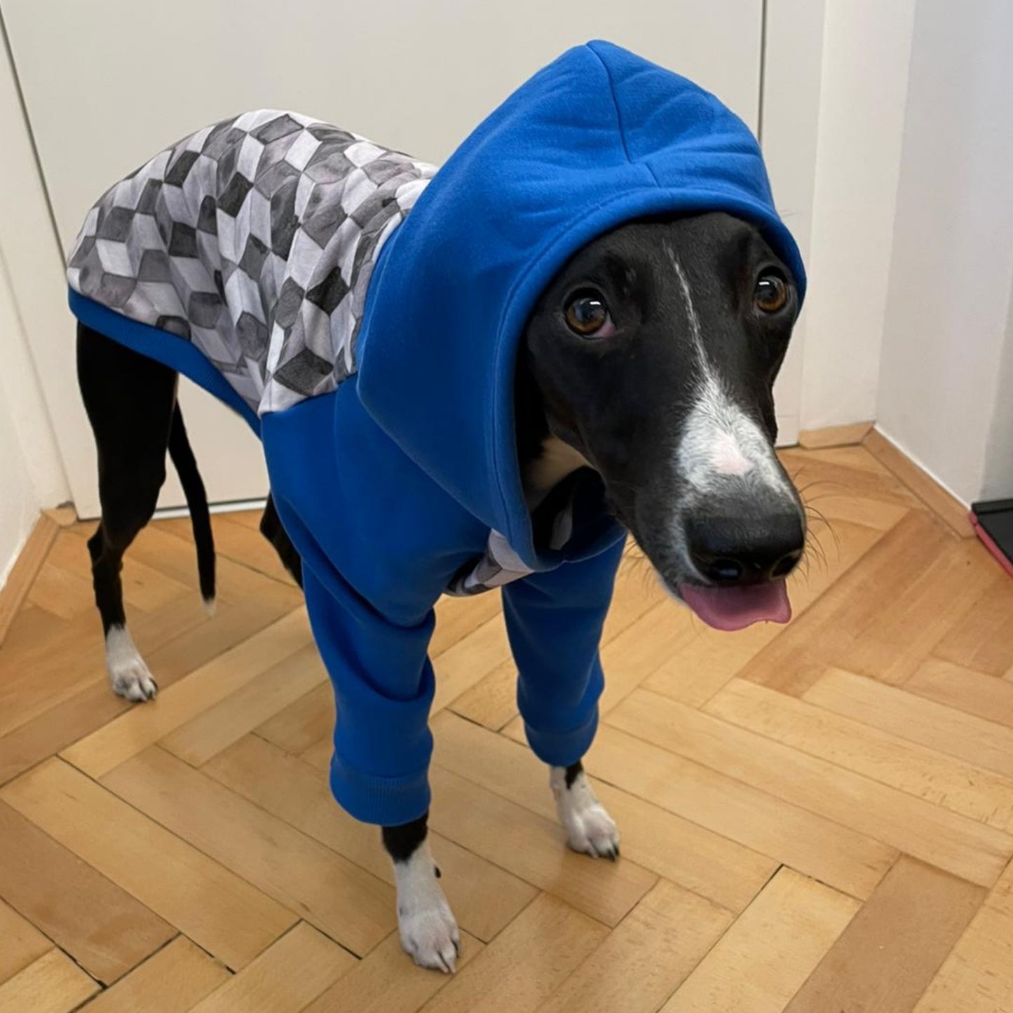 Italian Greyhound Silhouette Black Hoodie - Adult Large, Animal Lover Apparel