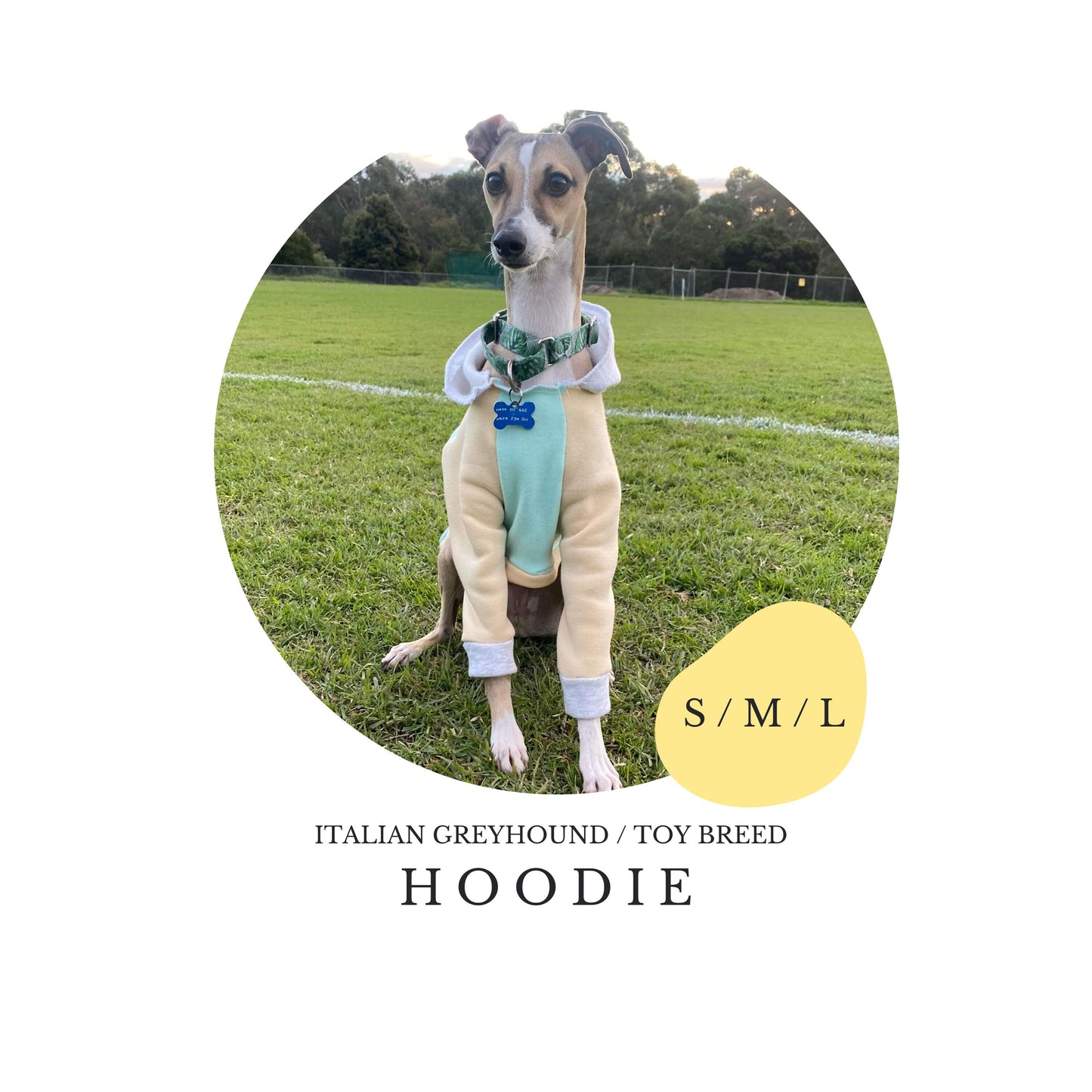 S/M/L Italian Greyhound Hoodie / Jumper