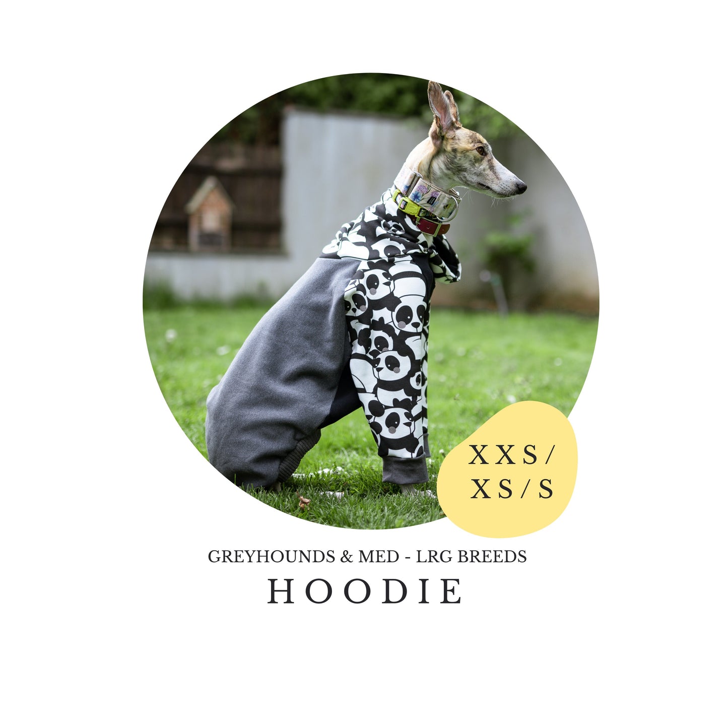 XXS/XS/S Greyhound Hoodie / Jumper