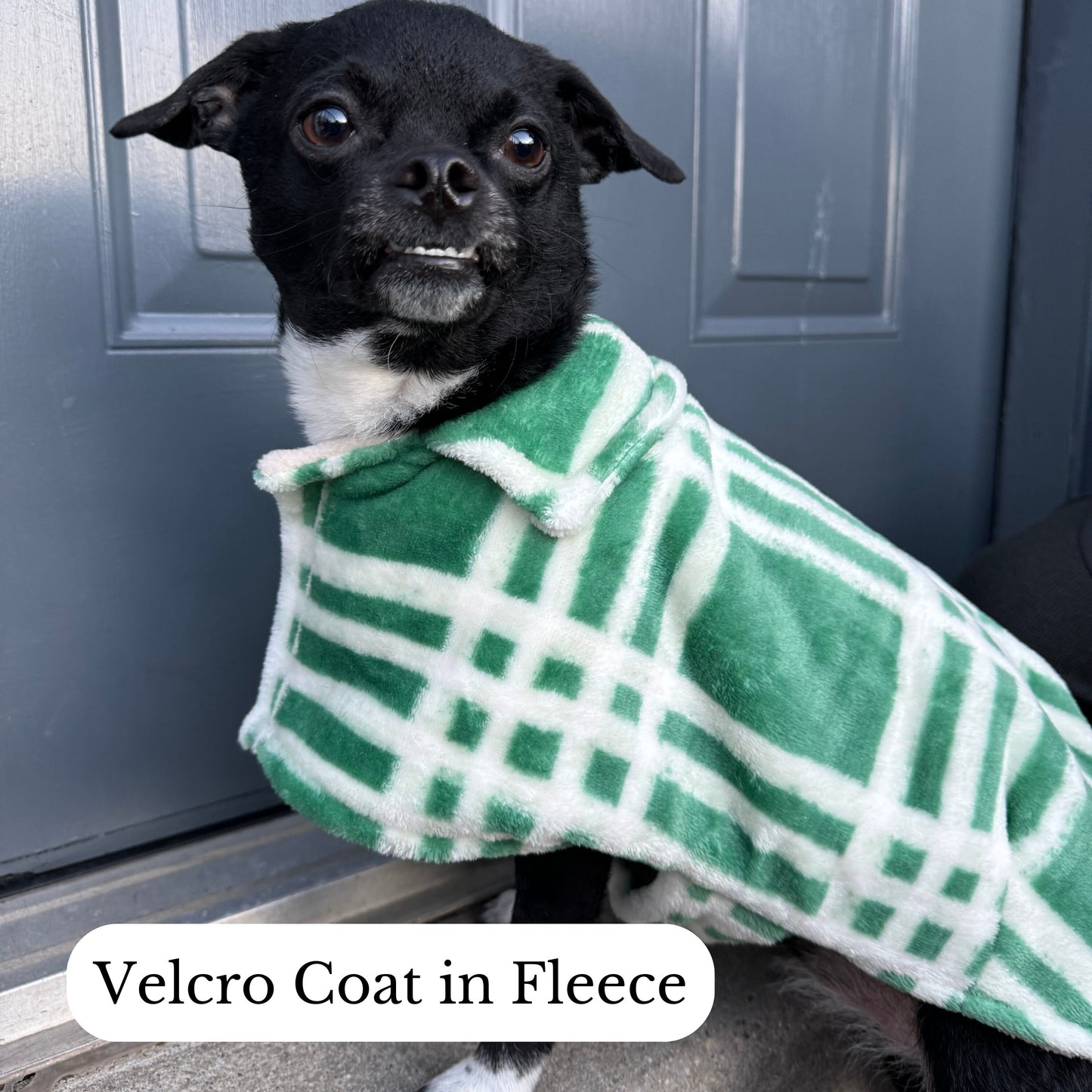 MEDIUM Dogs Velcro Coat (7-9)
